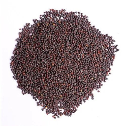 Brassica Nigra-Black Mustard-TheWholesalerCo-Indian-spice-herb-powder-whole-Leaves-root-flower-seeds-essential-oil-extracts