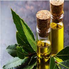 Bay Leaf Oil - Laurus nobilis - Essential Oil@TheWholesalerCo