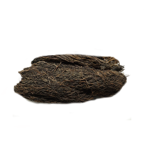 Ficus benghalensis - Banyan-TheWholesalerCo-exports-Indian-pure-jadi-booti-herbs-spices-powder-oil-extracts