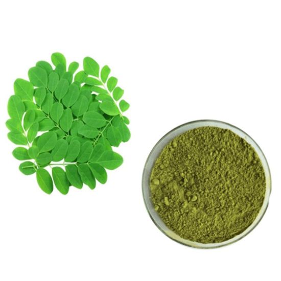 Moringa oleifera - Moringa/Drumstick-TheWholesalerCo-exports-Indian-pure-jadi-booti-herbs-spices-powder-oil-extracts