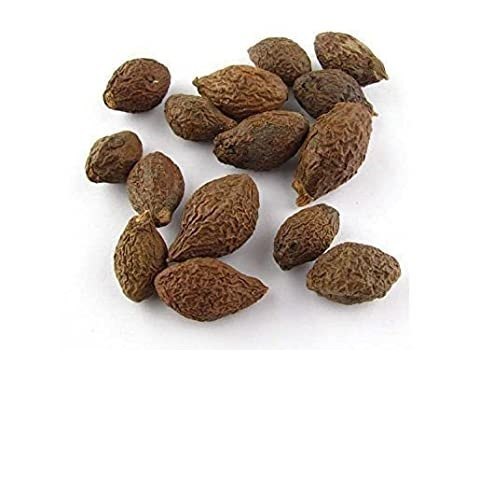 Sterculia Lychnophora - Niranjan/Malva Nuts - TheWholesalerCo