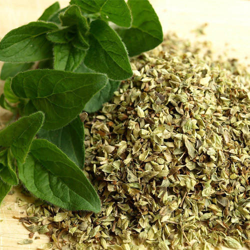 Origanum vulgare - Oregano-TheWholesalerCo-Indian-spice-herb-powder-whole-Leaves-root-flower-seeds-essential-oil-extracts