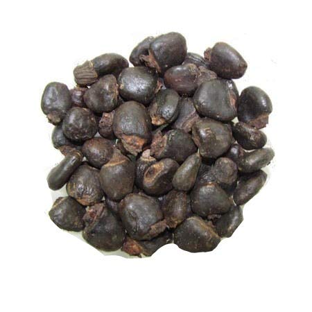 Semecarpus anacardium - Bhilawa-TheWholesalerCo-exports-Indian-pure-jadi-booti-herbs-spices-powder-oil-extracts