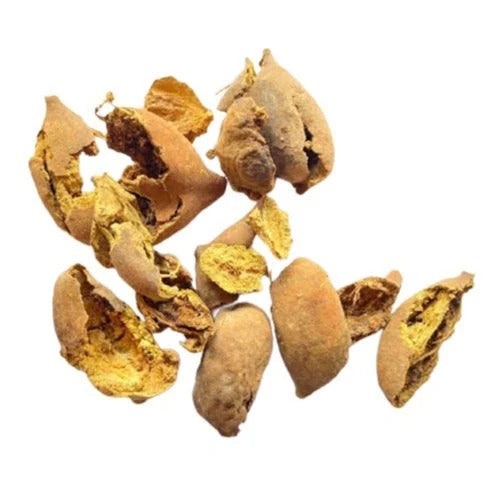 Terminalia Bellirica - Bahera-TheWholesalerCo-Indian-spice-herb-powder-whole-Leaves-root-flower-seeds-essential-oil-extracts