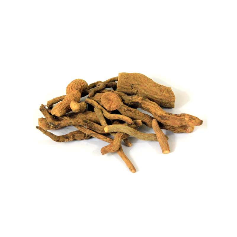 Rauvolfia serpentina - Sarpgandha/Asrol-TheWholesalerCo-exports-bulk-Indian-pure-original-jadi-booti-whole-herbs-spices-herbal-powder