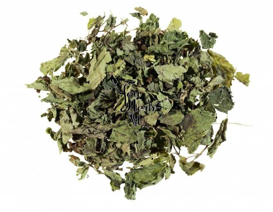 Melissa officinalis - Lemon Balm-TheWholesalerCo-exports-Indian-pure-jadi-booti-herbs-spices-powder-oil-extracts