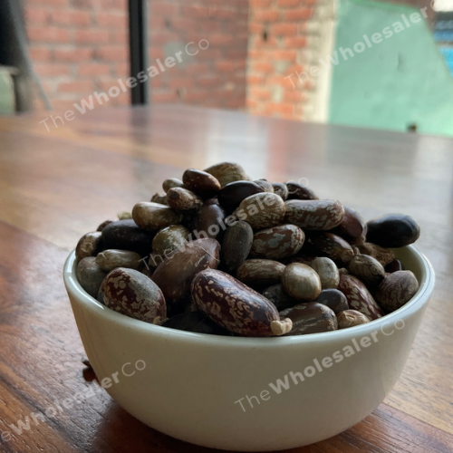 WholesalerCo-Beej Arandi - Ricinus Communis Linn - Castor Seeds