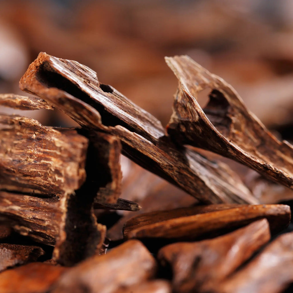 Agarwood Extract - Oud - Aquilaria malaccensis Product vendor