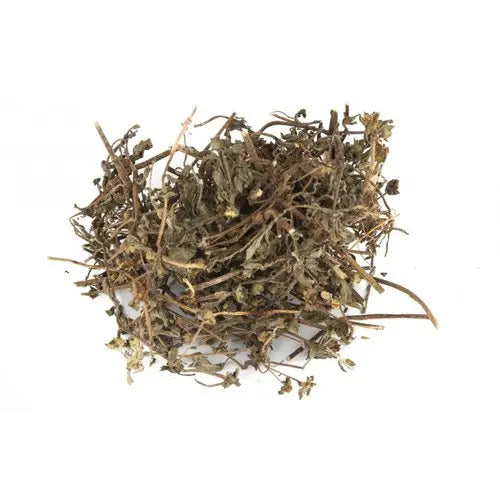 Bhringraj Extract - Eclipta Alba Product vendor