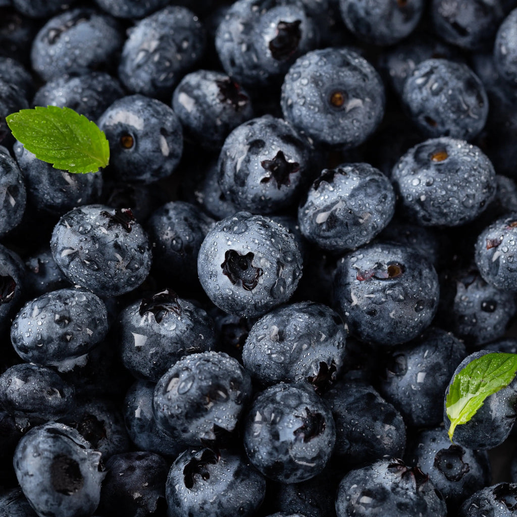 Blueberry Fruit Liquid Extract - Vaccinium corymbosum Product vendor