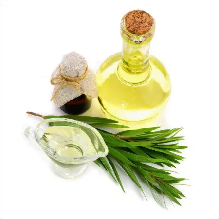 Cajuput Oil - Melaleuca leucadendra Product vendor