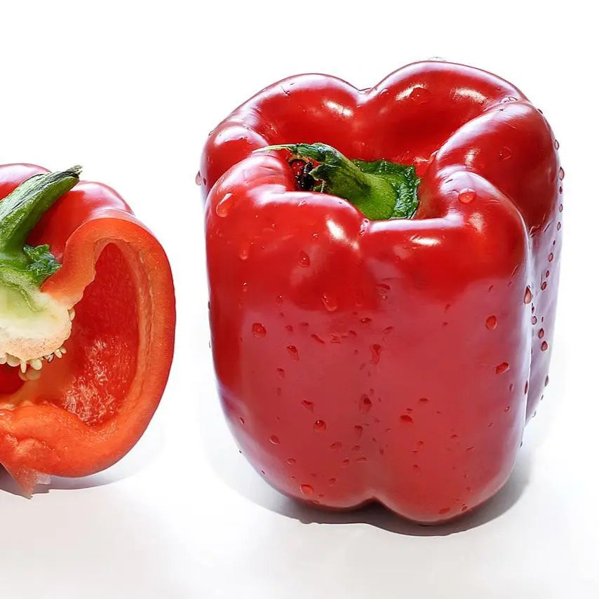 Capsicum (Red Pepper) Vegetable Extract - Capsicum annuum Product vendor