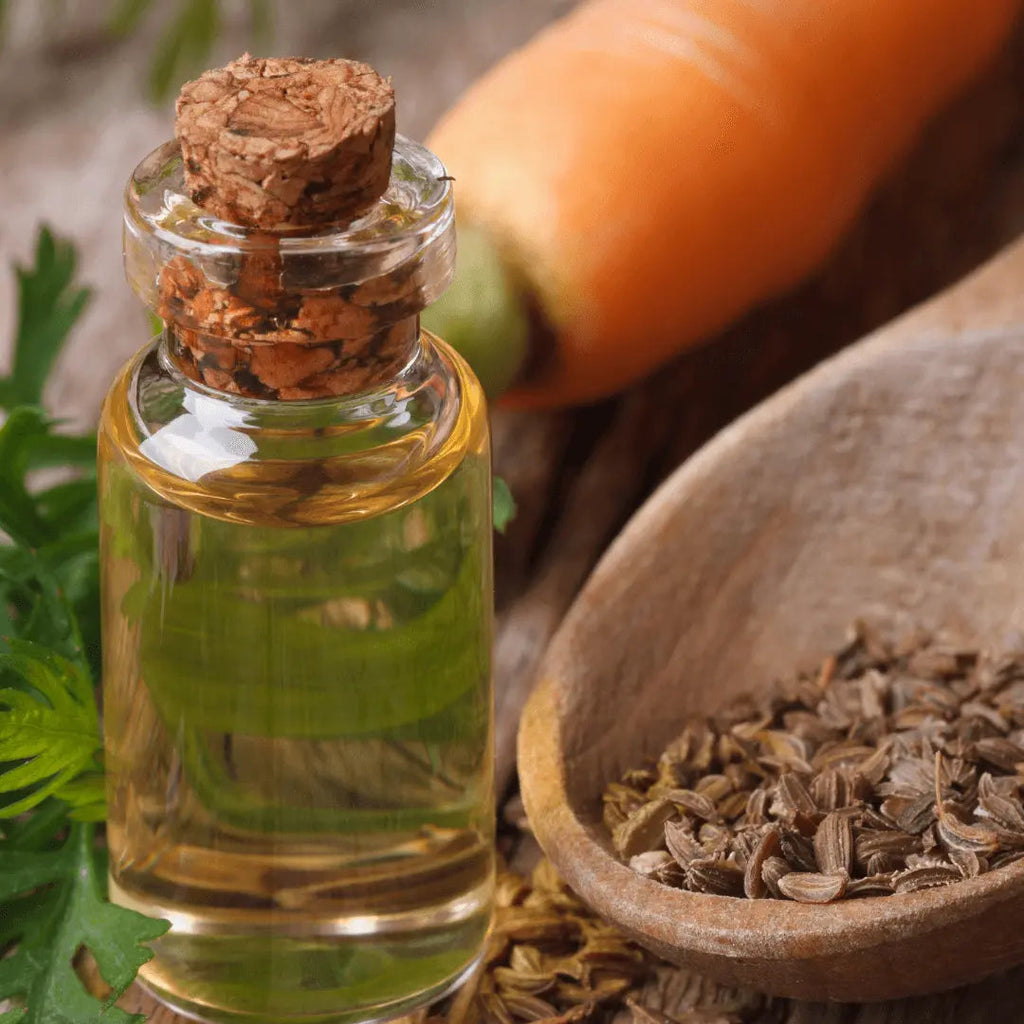 Carrot Seed Oil - Daucus carota Product vendor