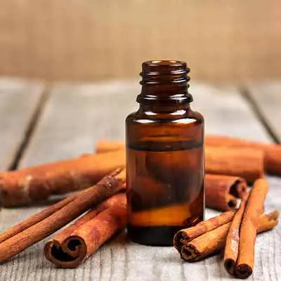 Cassia Oil - Cinnamomum cassia Product vendor
