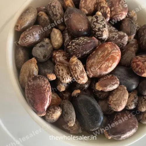 Castor Seed Extract - Ricinus Communis Linn Product vendor