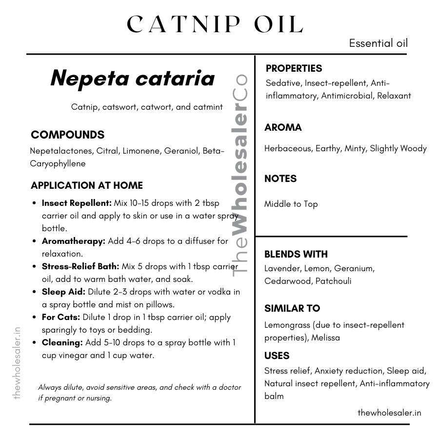 Nepeta cataria essential oil with common name, active compounds, properties,aroma, notes,blends with, similar to and uses of catnip essential oil