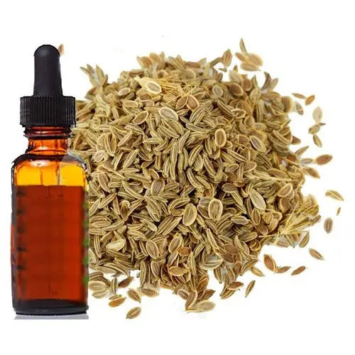Celery Seed Oil - Apium graveolens Product vendor