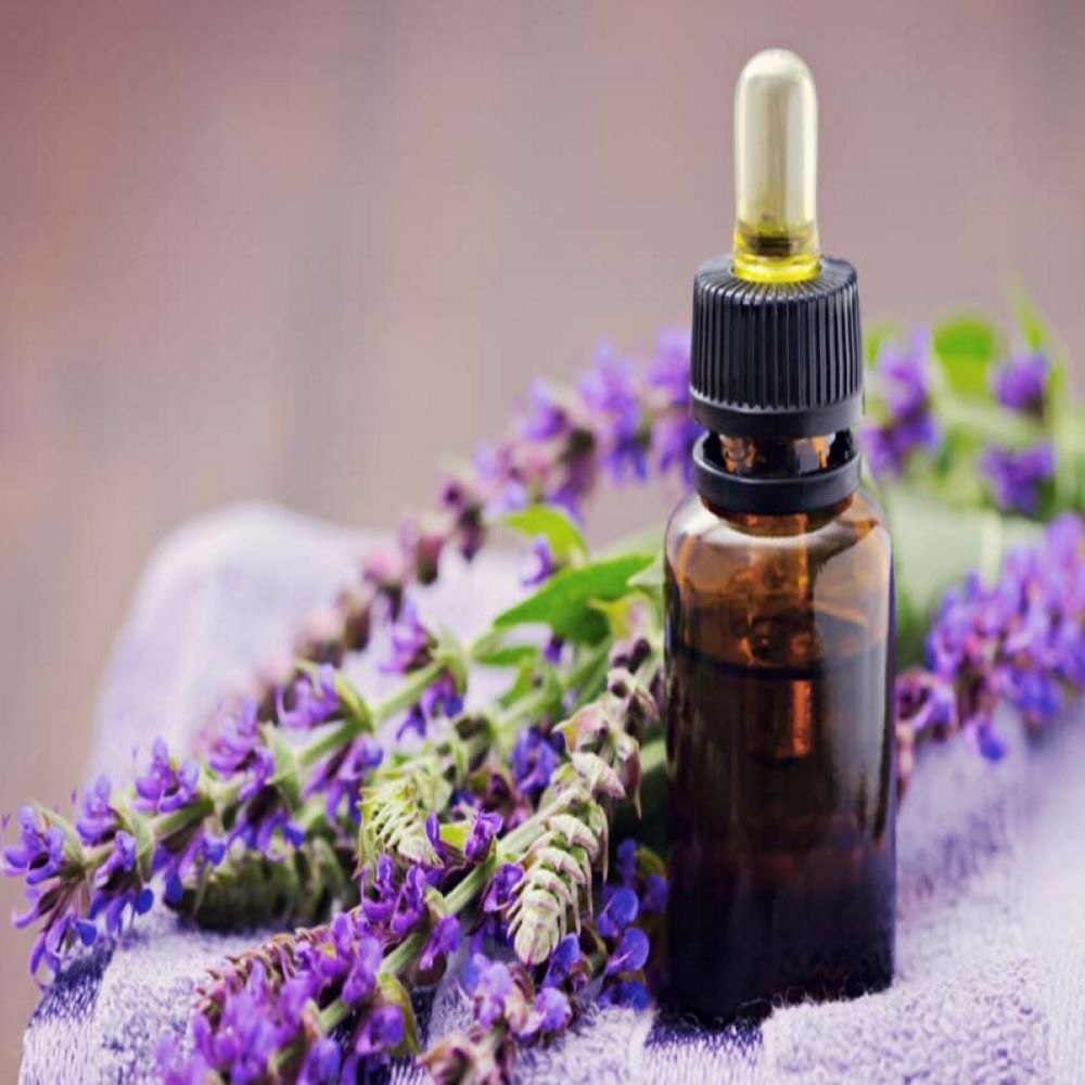 Clary Sage Oil - Salvia sclarea - Essential oil@WholesalerCo