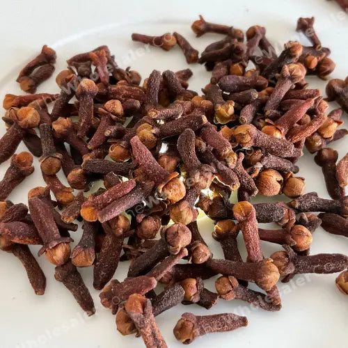 Clove Liquid Extract - Syzygium aromaticum Product vendor