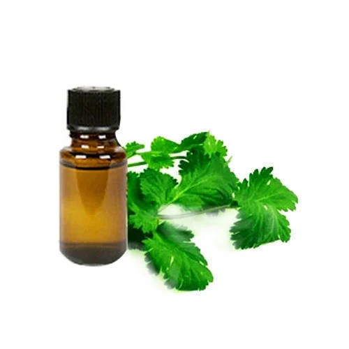 Coriander Leaf Oil - Coriandrum sativum - Essential oil@WholesalerCo