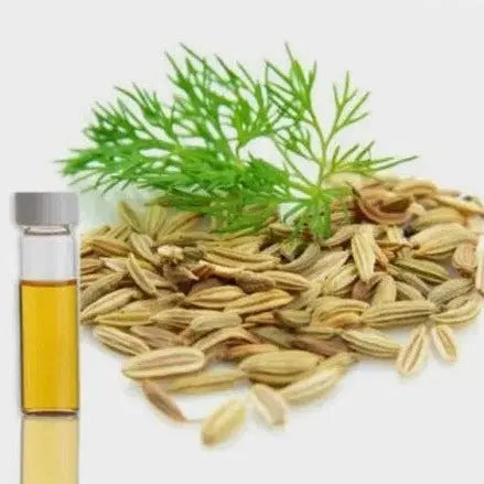 Dill Seed Oil - Anethum Graveolens Product vendor