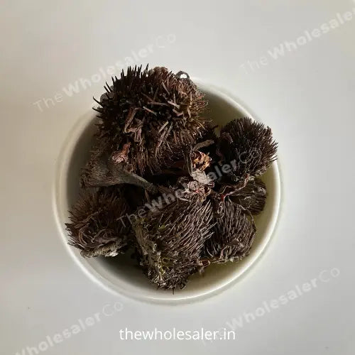 Echinacea Flower Extract - Echinacea purpurea Product vendor
