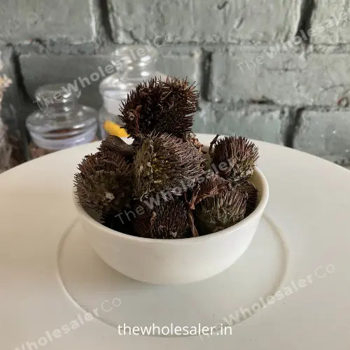 Echinacea Flower Extract - Echinacea purpurea Product vendor