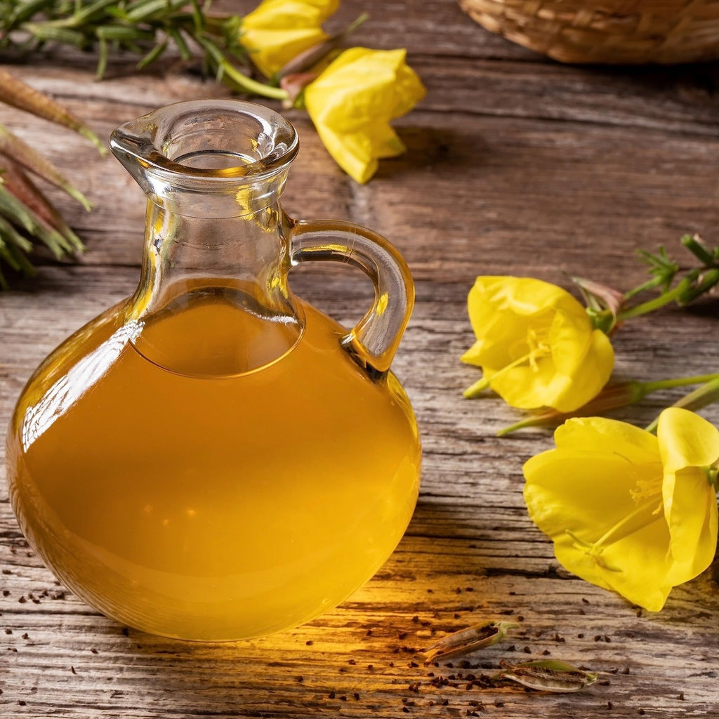 Evening Primrose Oil - Oenothera biennis - Essential Oil@WholesalerCo