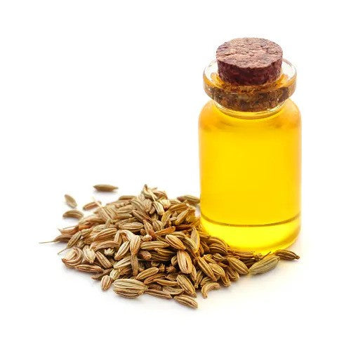 Fennel Seed Oil - Foeniculum vulgare - Essential oil@WholesalerCo