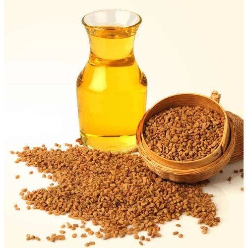 Fenugreek Oil - Trigonella foenum-graecum - Essential oil@WholesalerCo