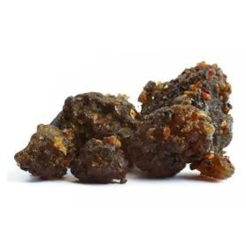 Guggul Extract - Commiphora wightii Product vendor