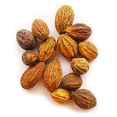 Haritaki Liquid Extract - Terminalia chebula Product vendor