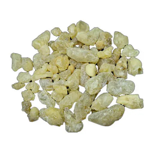 Indian Frankincense Extract - Boswellia serrata Product vendor