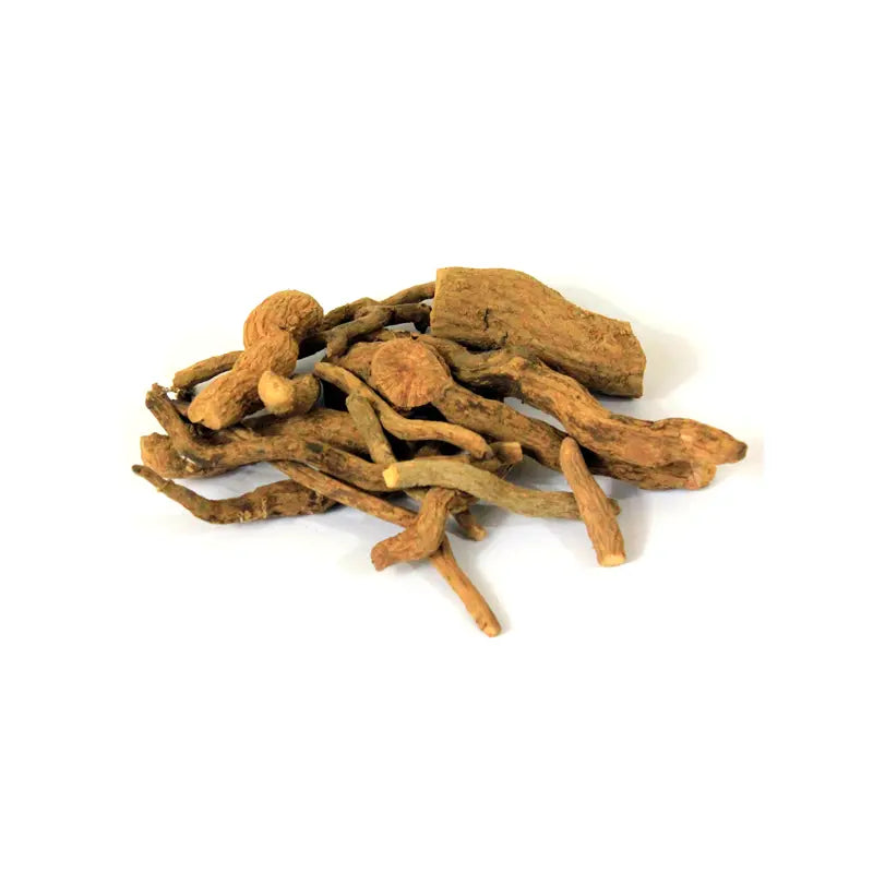 Indian Snakeroot Liquid Extract - Rauvolfia serpentina Product vendor