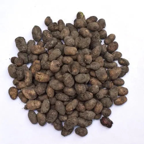 Jamun Seed Extract - Syzygium Cumini Product vendor