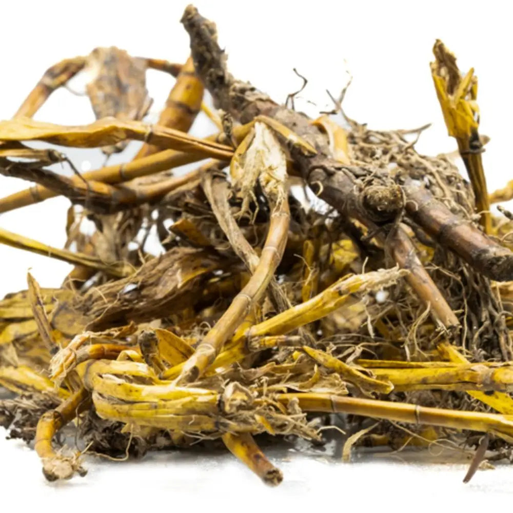 Jivanti Root Extract - Leptadenia Reticulata Product vendor