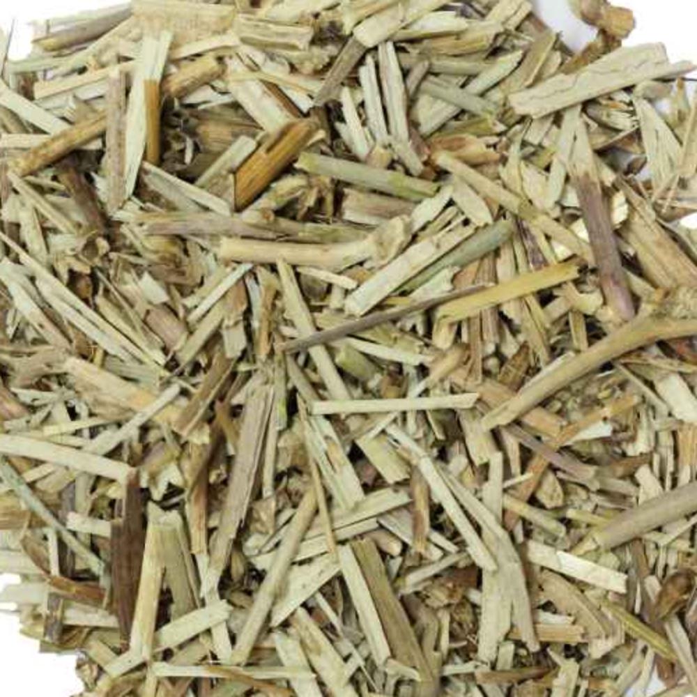 Kasni - Chicory - Cichorium intybus | TheWholesalerCo