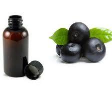 Laurel Berry Oil - Laurus nobilis - Essential oil@WholesalerCo