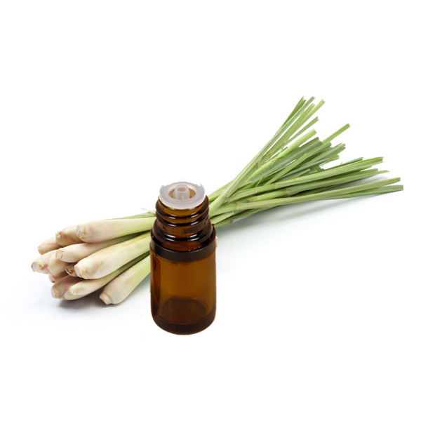 LemonGrass Oil - Cymbopogon-Essential oil@WholesalerCo