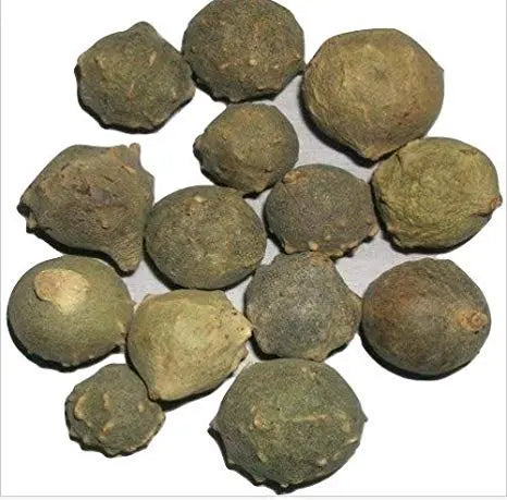 Majuphal Extract - Quercus Infectoria Oliv Product vendor