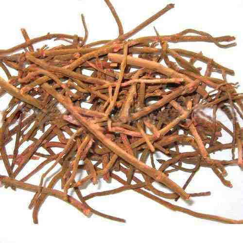 Manjistha Liquid Extract - Indian Madder - Rubia cordifolia Product vendor