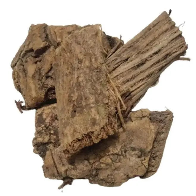 Moringa Bark Extract - Moringa oleifera Product vendor