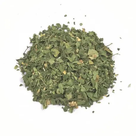 Moringa Leaf Extract - Moringa oleifera Product vendor