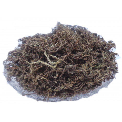 Nagbala Chaal - Naagbala Bark - Nagabala - Gageran Chaal - Grewia hirsuta | TheWholesalerCo