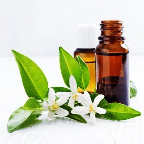 Neroli Oil - Citrus aurantium - Essential oil@TheWholesalerCo