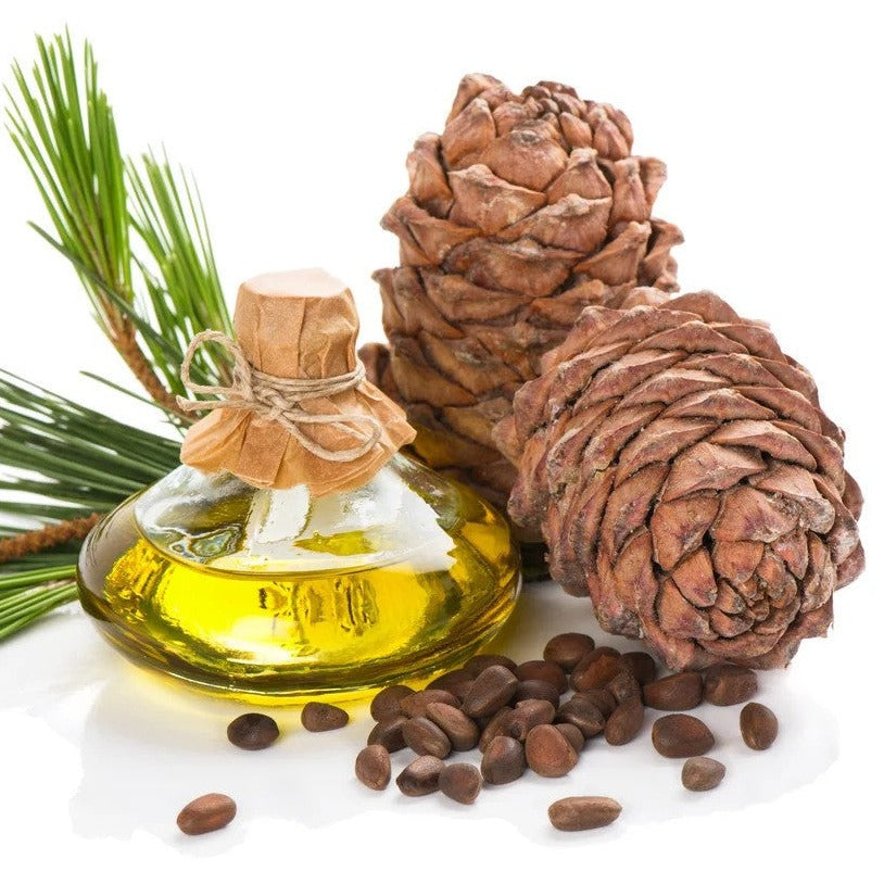 Pine Oil - Pinus sylvestris - Essential oil@WholesalerCo