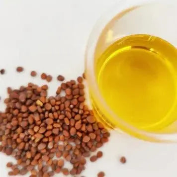 Radish Seed Oil - Raphanus sativus Product vendor
