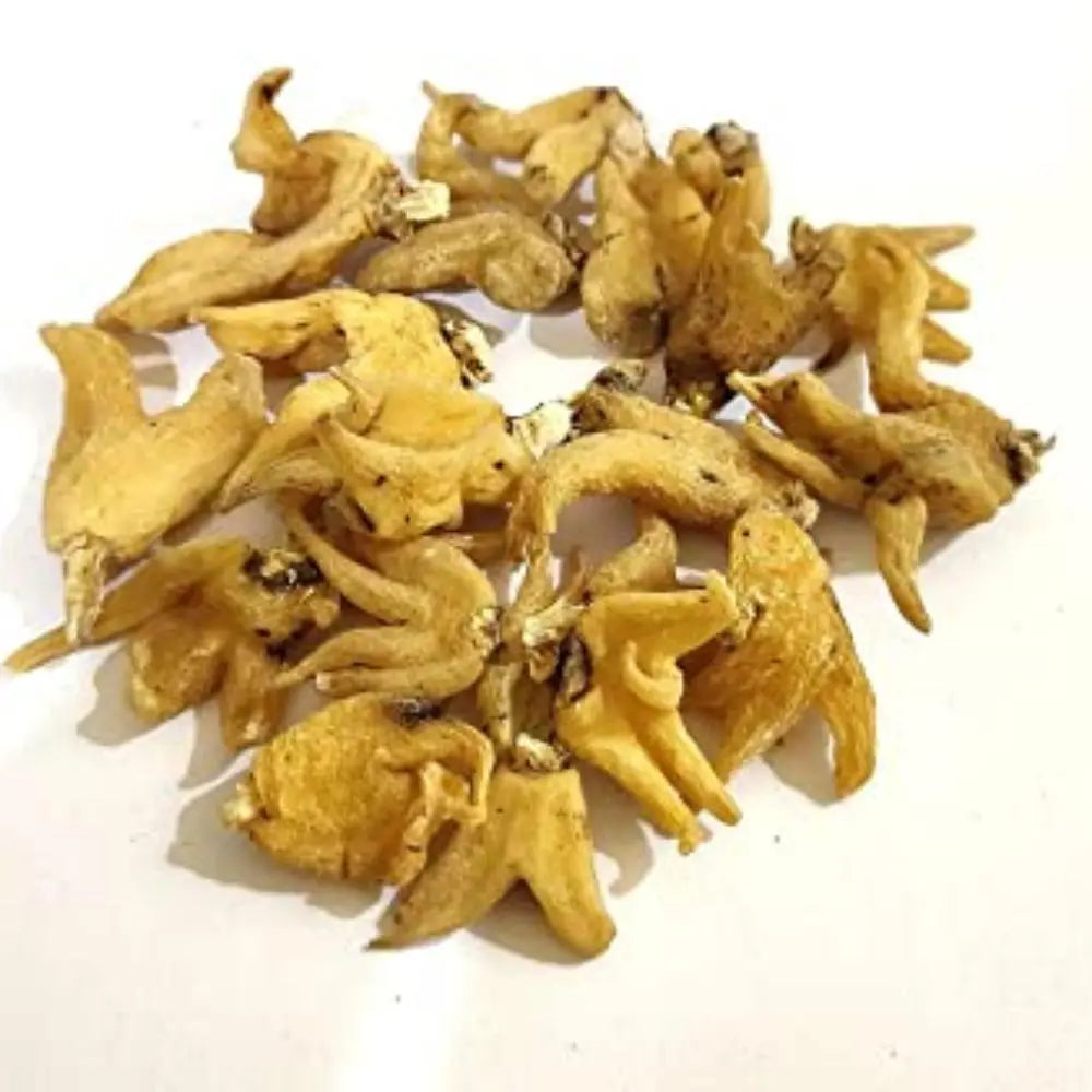 Salam Panja Liquid Extract - Dactylorhiza hatagirea Product vendor