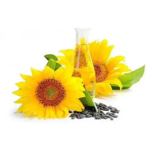 Sunflower Seeds Oil - Helianthus annuus Product vendor
