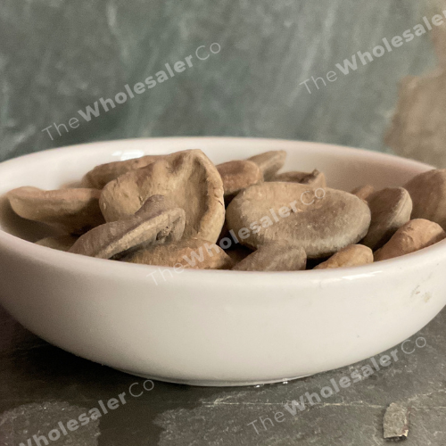 Kuchla Beej - Nux Mica - Strychnos nux-vomica - TheWholesalerCo